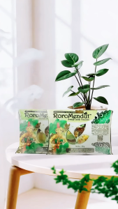 Jerawat Punggung & Bruntus Body Scrub Charcoal Brotowali – Kulit Lembut Kayak Bayi