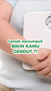 NATURAFIT Slim-in - Obat Herbal Untuk Membantu Diet Mengurangi Lemak Tubuh/Pelangsing Menurunkan Berat Badan BB Secara Sehat