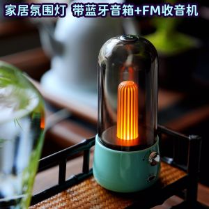 Portable Bluetooth Speaker with Night Light And FM Radio Atmosphere Lamp Good Sound Quality Carry-On Speaker with Ambient Light