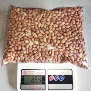 Kacang Kupas Sangrai Fresh - Sangrai terjamin Baru & Renyah