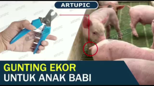 Gunting Ear Tag Gunting Ekor Babi Gunting Kuku Anting Babi Kambing Domba Sapi Stainless Steel Dll