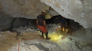 Helm Petzl Vertex Vent Putih Original - Helm Panjat Tebing Petzl - Helm Safety Rescue Petzl Climbing Bersertifikat Petzl A010CA00