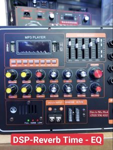 Mạch Loa Kéo thế hệ mới DSP 216 Reverb Time - EQ - 4 tấc đôi - 5 tấc đơn
