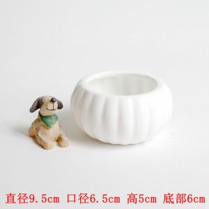 Fashionable European White Porcelain Ceramic Succulent Planters Mini Cute Personalized Flower Pots round Shape Desktop Decor