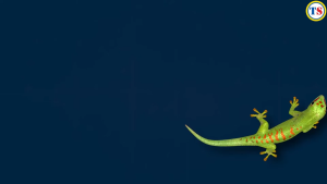 FLASHBAND LAKBAN TAMBAL SENG ANTI BOCOR PER METER - 5 cm