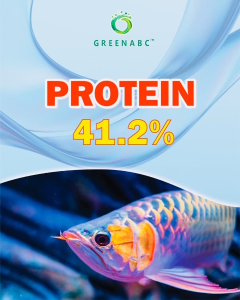 Thức ăn Cá Rồng GREENABC - Protein 40 tăng size tăng màu tăng đề kháng vảy rực rỡ - Hộp 350g