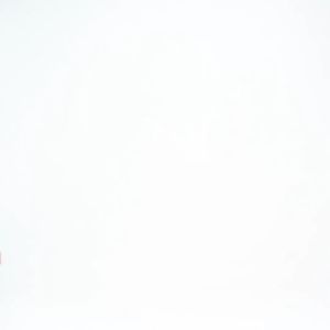 House of Smith Kaos Pria Lengan Pendek - Just Sport Tshirt White - T Shirt