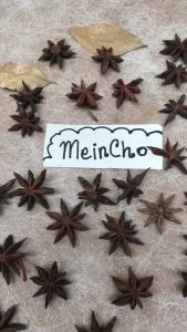 (15 biji) Pokak Bunga PEKAK Bunga Lawang Star Anise Kering Dried Flower Properti Foto Dekorasi Rustik