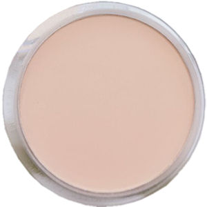Danni Double Effect Waterproof Oil Control Powder Compact Natural Looking Long-lasting Foundation Makeup Sponge Included