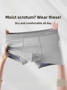 MiiOW | Mens Ice Silk Underwear 2025 New Style Seamless Thin Breathable Antibacterial Modal Briefs Quick Dry Luxury Brand MiiOW