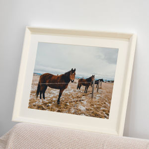 Photo Frame Large Size 32in/36in