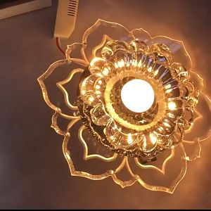 HOL chandelier ceiling sala LED Ceiling Light Creative Lamp For Home Decoration Balcony Lamp Porch Lights Corridor Light Fixture