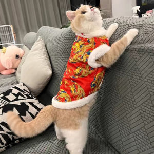 Thickened Pet Cat Clothes New Year Warm Winter Clothes Cat Doll Gold Gradient Little Kitten Tang Suit Pet Apparel