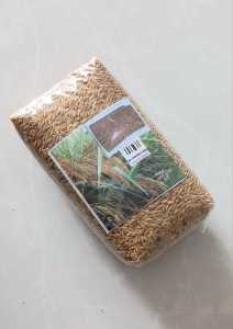 benih padi ketan putih padi ketan beras putih original 1 kg