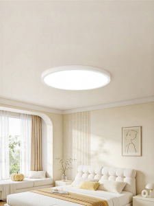 EYESPRO | Eye Protection Full Spectrum Slim Ceiling Light