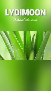 SG Stock】 40gNatural Aloe Vera Gel Moisturizing Face Cream skin repair Facial Care Day Creams Acne Treatment Hydrating Skin Care Aloe Gel moisturizer aloe Vera gel alo vera gel