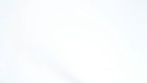 FORMINDS Children Learning Book 平装正版 幼儿英语分级阅读基础级 English Enlightenment 绘本 图画书