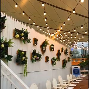 G50 WAETHERPROOF BULB LIGHT BALL BULB LED STRING FAIRY LIGHT WARM WHITE 3METER 10LEDS 小球装饰灯LAMPU HIASAN DEEPAVALI / HARI RAYA LIGHT