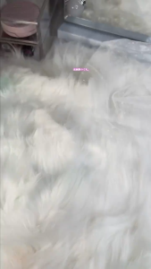 Phấn nước Canmake Fit Glow Cushion mỏng nhẹ căng bóng tự nhiên chống nắng SPF50+ PA+++ Nội địa Nhật