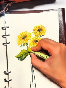 Bút Sáp Dầu Pastel 12/24/36/48 Màu Soft Oil Pastel Oil Crayons Màu sáp dầu cho Học sinh Hoạ Sĩ Vẽ tranh nổi