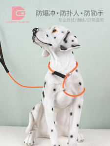 Durable Dog Leash for Large Medium And Small Dogs Anti Explosive Pull Chain Training Dog Harness Non Extendable Normal Size