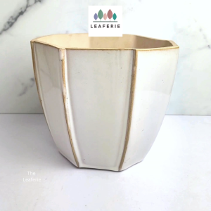 The Leaferie Venus plant pots Ceramic flowerpot flowerpots flower pot planter planters