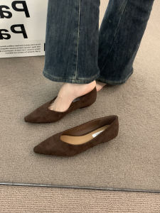 French High-End Brown Single Shoes Womens Spring Autumn Commute Slope Heel Elegant Pointed Toe Fashionable Flat Heel Shoes