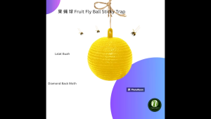 Keranixy Sticky Trap Ball Hanging Fly Trap Sticky Fruit Fly Trap Insect Pest Catcher Perangkap Serangga