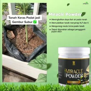Miracle Powder Pupuk 3 In 1 Pembenah Media Tanam Penyubur Daun Dan Memperkuat Batang 500gram Infarm