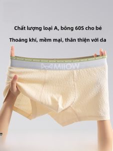 MiiOW | Quần lót nam Catman bằng cotton nguyên chất 2025 mẫu mới bằng cotton lụa tơ tằm kháng khuẩn cỡ lớn thoáng khí quần lót bốn góc