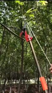 Kéo cắt cành trên cao Đầu kéo tỉa cành cây trên caohái quả kết hợp cưa cây rất hiệu quả - Lazada
