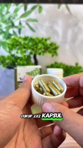 Keloreena Daun Kelor Obat Sering Kencing Terus Menerus Infeksi Saluran Kemih Prostat Diabates