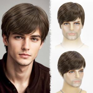 New European and American wig mens brown partial short straight hair business style high temperature silk wig full head cover
