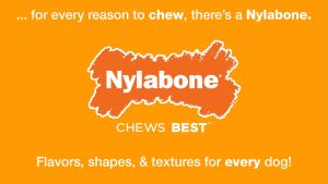 Nylabone Puppy Chew Bone Chicken Flavor กระดูกขัดฟัน ของเล่นกัดแทะลูกสุนัข ไร้สารพิษ ลดเครียด Dog Toy