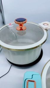 10L Non-Stick Big Capacity Micro Pressure Pot Multifunction Stew Pot Periuk Mikro Soup Rice Cooker