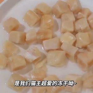 PREMIUM Freeze Dried Chicken Bucket 500g Freeze Dried Cat Food Cat Booster Gemuk Kucing Cat Treat