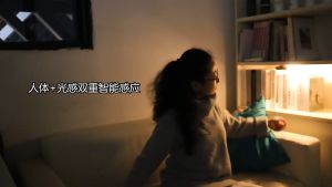 Smart Motion Sensor Wood Grain Night Light: A Comprehensive Guide