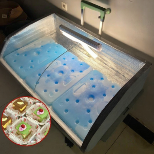 BEIANLANG | Reusable Large Commercial Ice Plate Refrigeration