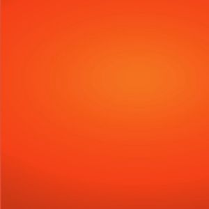 Bob's Red Mill Organic Golden Flaxseed Meal Gluten-Free 16 oz. Low Carb 453 Keto