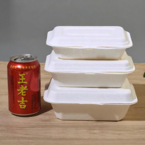 Degradable Eco-Friendly Thickened Disposable Meal Box