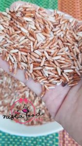 ข้าวสังข์หยด / Sangyod Rice (ข้าวใหม่ ฤดูกาล 2568)