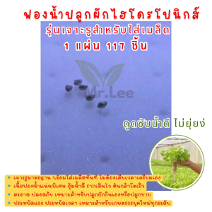 1 แผ่น 117 ชิ้น( แพ็ค50 )ฟองน้ำปลูกผักไฮโดรโปนิกส์ รุ่นเจาะรูมาตรฐาน  พร้อมใช้งาน พร้อมใส่เมล็ดทันที