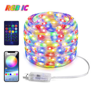 Bluetooth USB Music WS2812B LED String Lights 5V RGBIC Dream Color 5/10/20m Fairy Garland for Wedding Christmas Party Decor