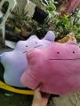 Ditto Pokémon Large pink. 