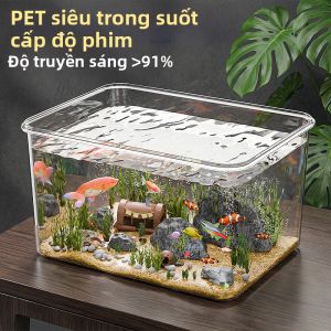 DOCOXO | Bể Nuôi Cá và Rùa Nhỏ Mới Eco Acrylic