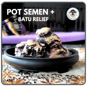 Pot Bonsai Oval Ceper + Batu Artificial Unik
