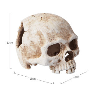 Climbing Pet Skull Bone Spider Refuge Pocket Nest Lizard Pet Snake Palace Guard Reptile Tank Aquarium Landscaping Decoration Supplies