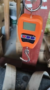 [🇵🇭 Stock&COD] High Precision Hanging Scale Weighing 200KG Electronic Scale with LED Display Portable Handheld Digital Scale