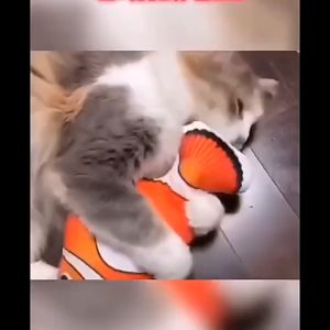 PET DIARY Mainan Ikan Bergerak Untuk Kucing Elektrik Lucu Mainan Simulasi Ikan Loncat Anak