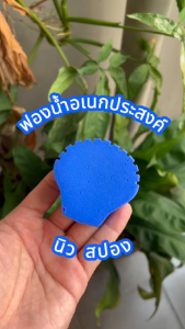 (ใหม่!) ฟองน้ำเอนกประสงค์ซับน้ำดี ขนาดครึ่งฝ่ามือ สำหรับเช็ดฝุ่น เช็ดมุ้งลวด ล้างง่าย ฝุ่นไม่ฟุ้ง